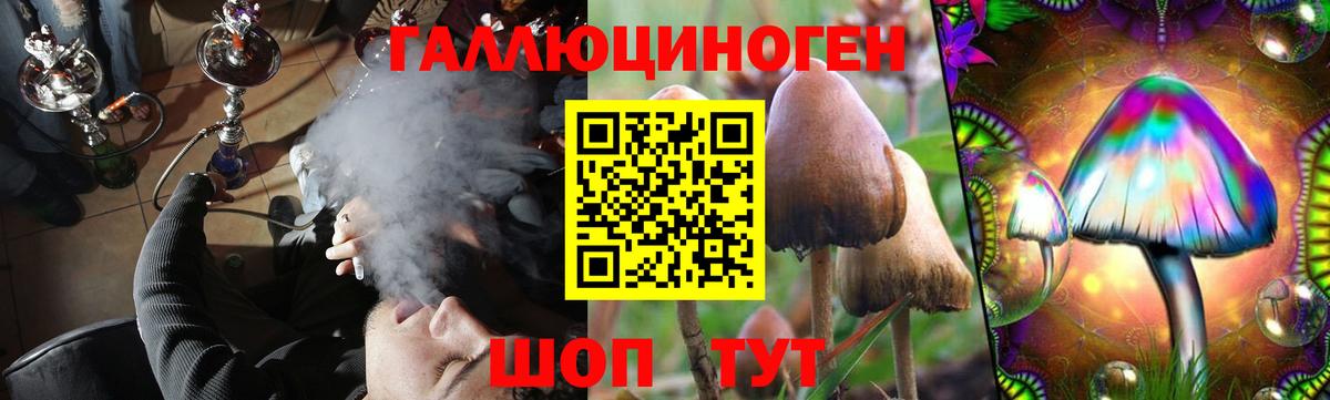 Галлюциногенные грибы GOLDEN TEACHER  Галлюциногенные грибы GOLDEN TEACHER  Лобня  Вход с VPN 